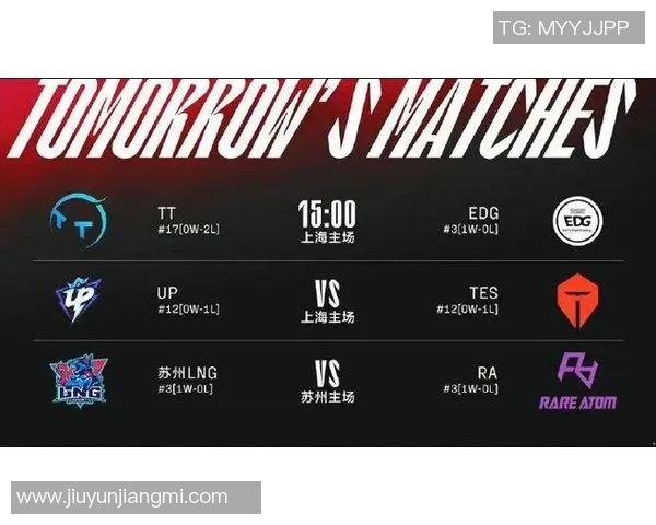 电竞实时数据分析TES团队配合表现及其影响因素探讨